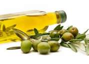 Vendemos plantas de oliva o aceitunas